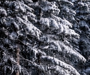 عکس پروفایل